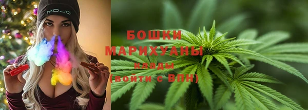 дживик Нефтегорск