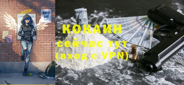 гидра Весьегонск