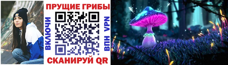 купить наркотики цена  сайты даркнета Telegram  Галлюциногенные грибы Psilocybe  Яблоновский 
